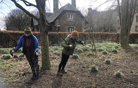 Boot camp ladies in Edinburgh Meadows enjoying a boot camp fitness class