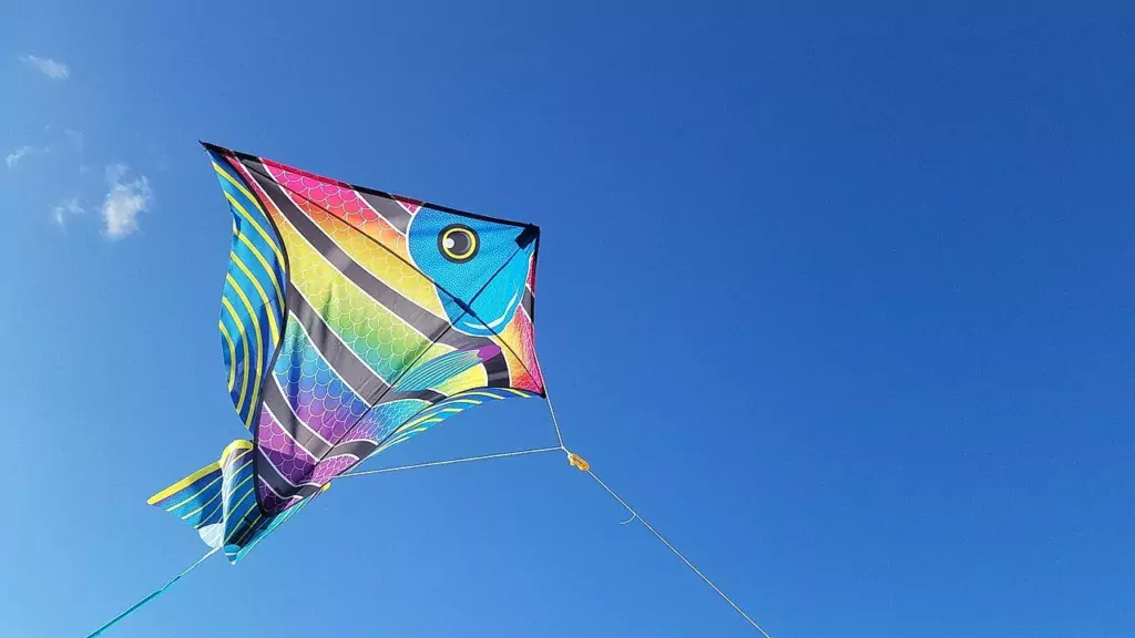 kite, jacksonville, florida